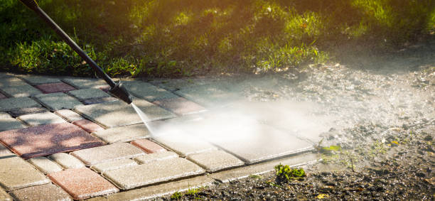 Best Animal Enclosure Cleaning  in Sunnyside, WA